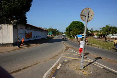 DSC_8427 (Large).JPG